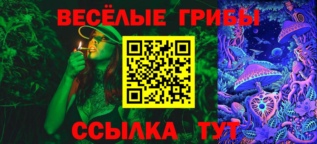 Псилоцибиновые грибы мухоморы Салехард