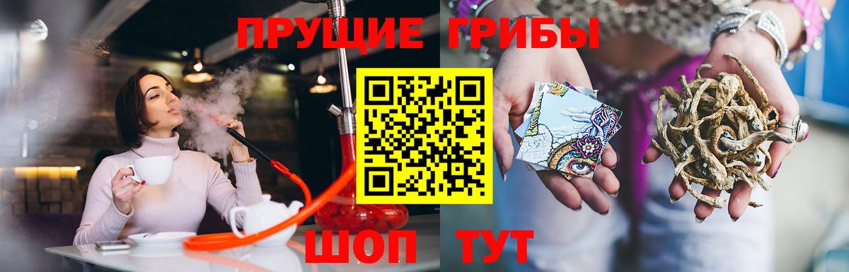 Галлюциногенные грибы мухоморы  хочу   Салехард  Вход с VPN 
