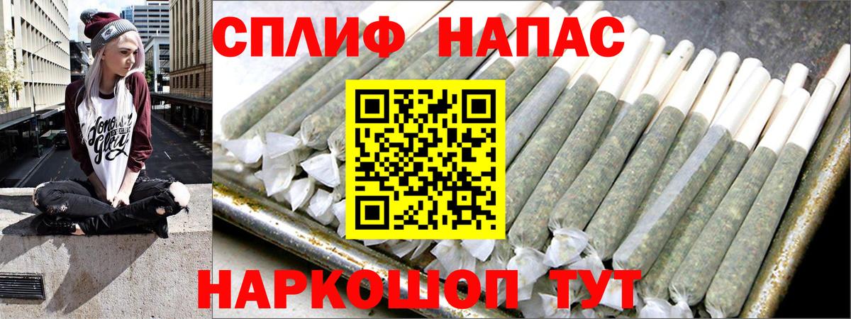 Канабис гибрид Салехард
